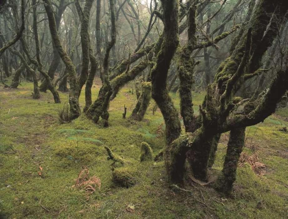 El Serrillal Séjour à la campagne *